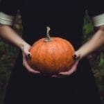 wtravl best tips for Thanksgiving