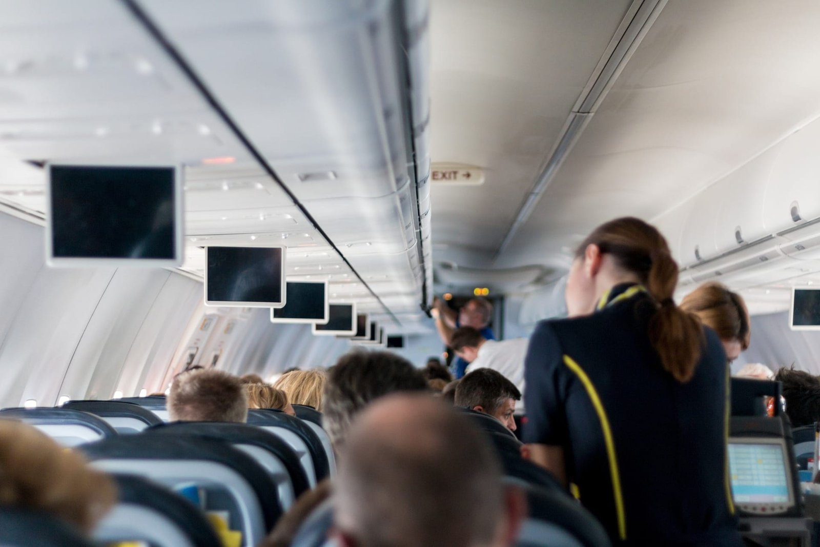 How much does a Flight Attendant make in the United States Here is all our answer about what you can make for flying high above ground.